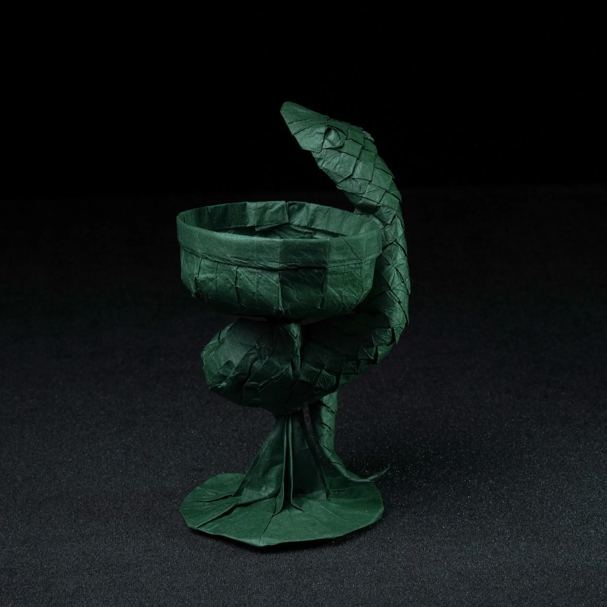 Чаша Гигиеи — Андрей Ермаков (IOIO X)