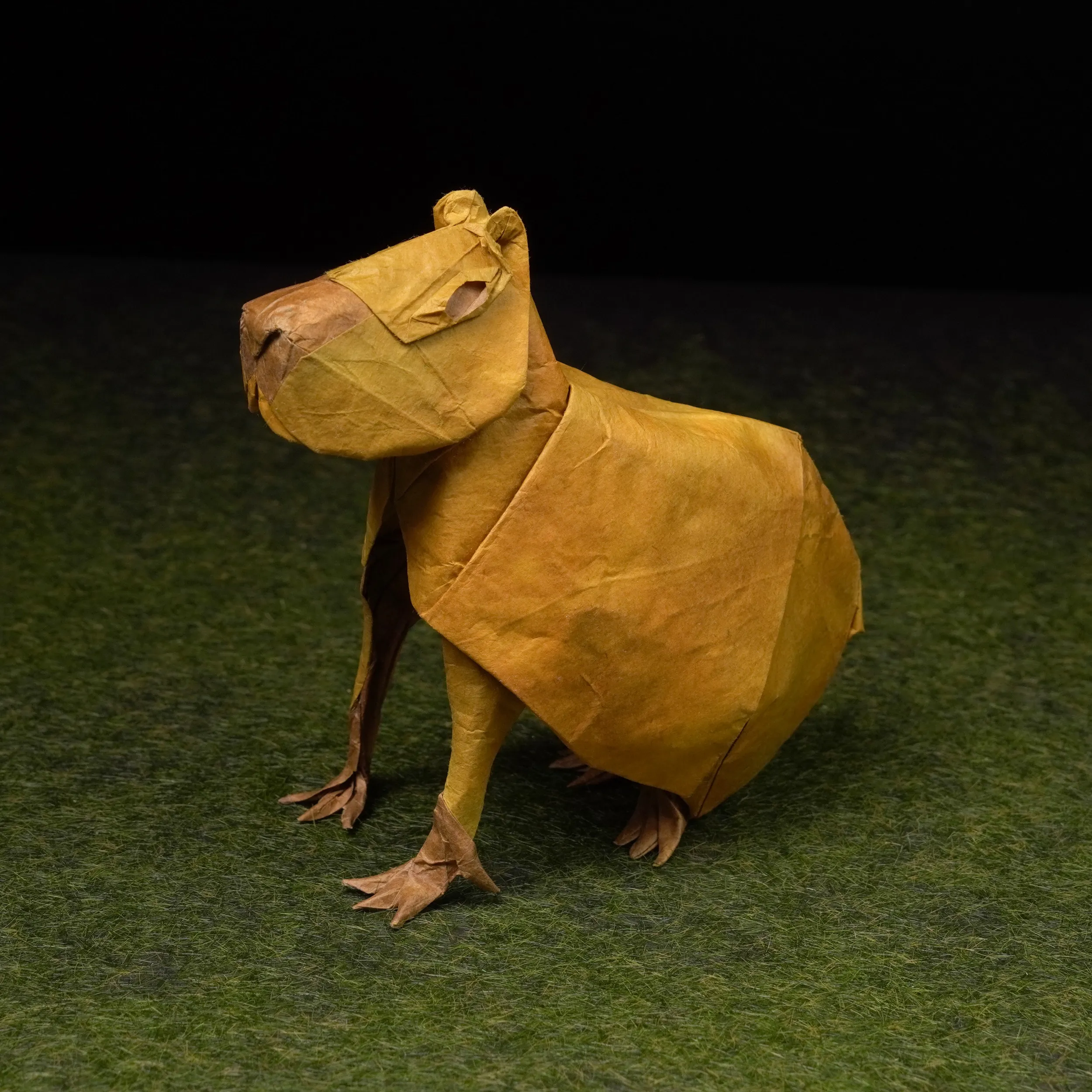 Capybara — Yoo Tae Yong