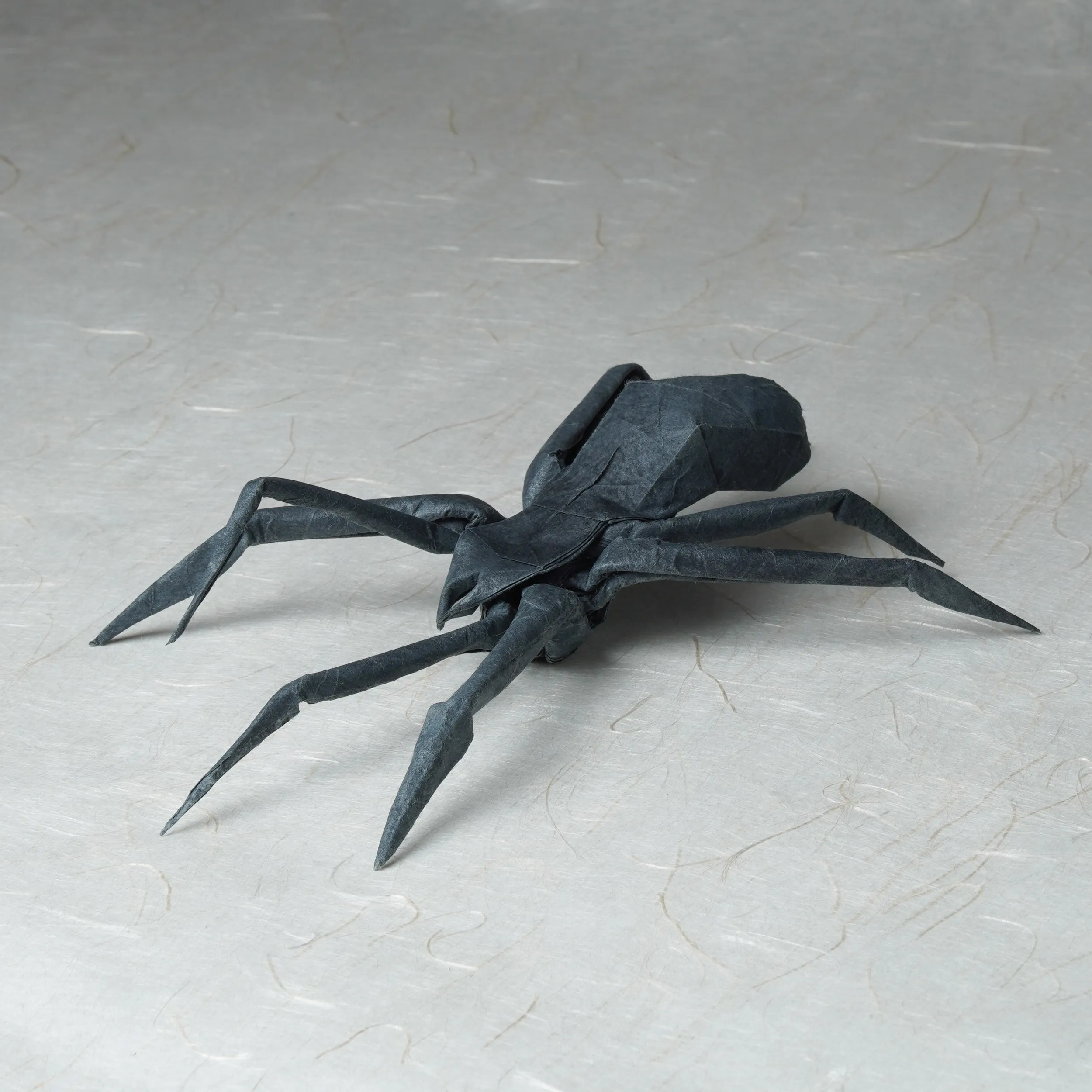 Паук HP — Андрей Ермаков (IOIO X)