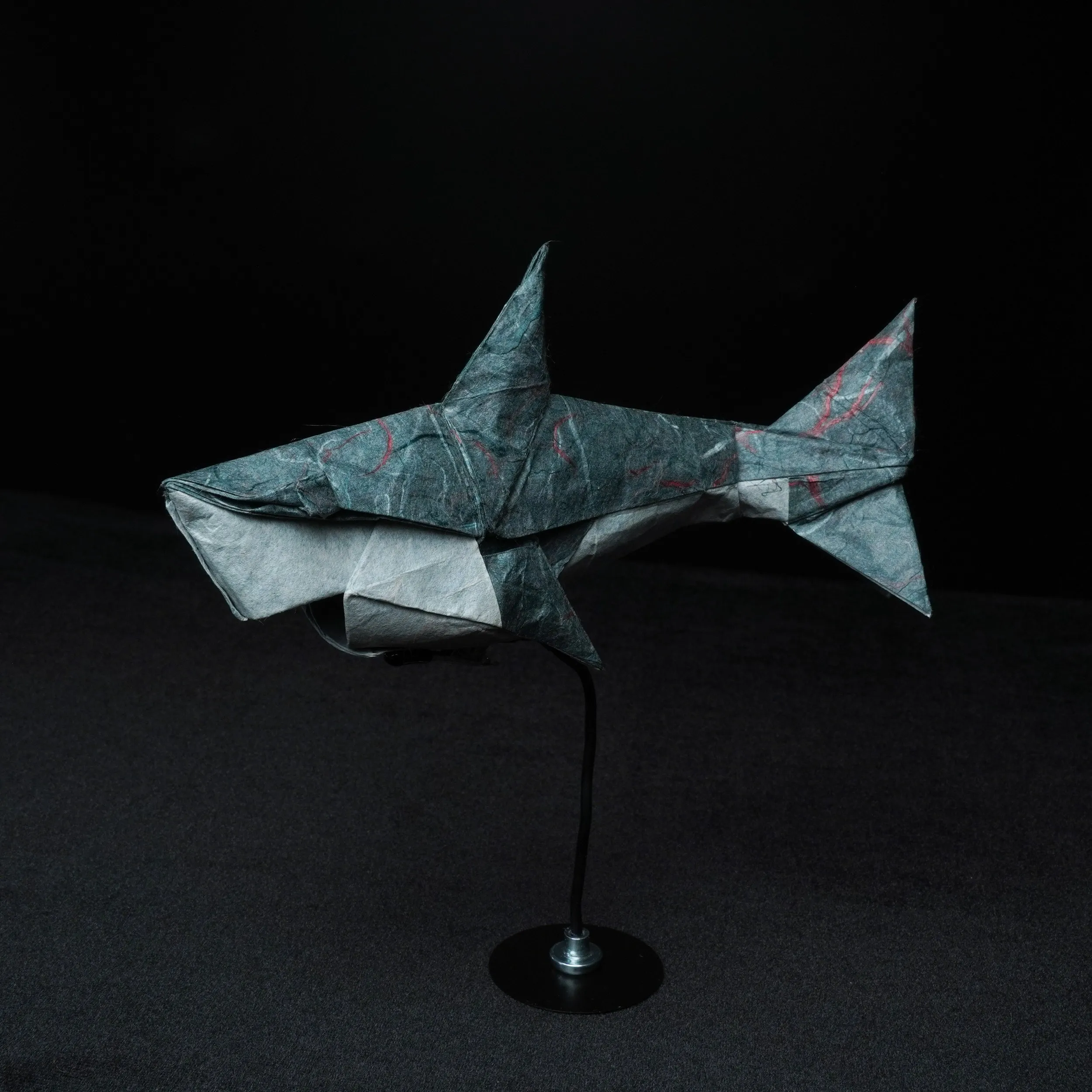 Shark — Tu Kaiming (IOIO X)