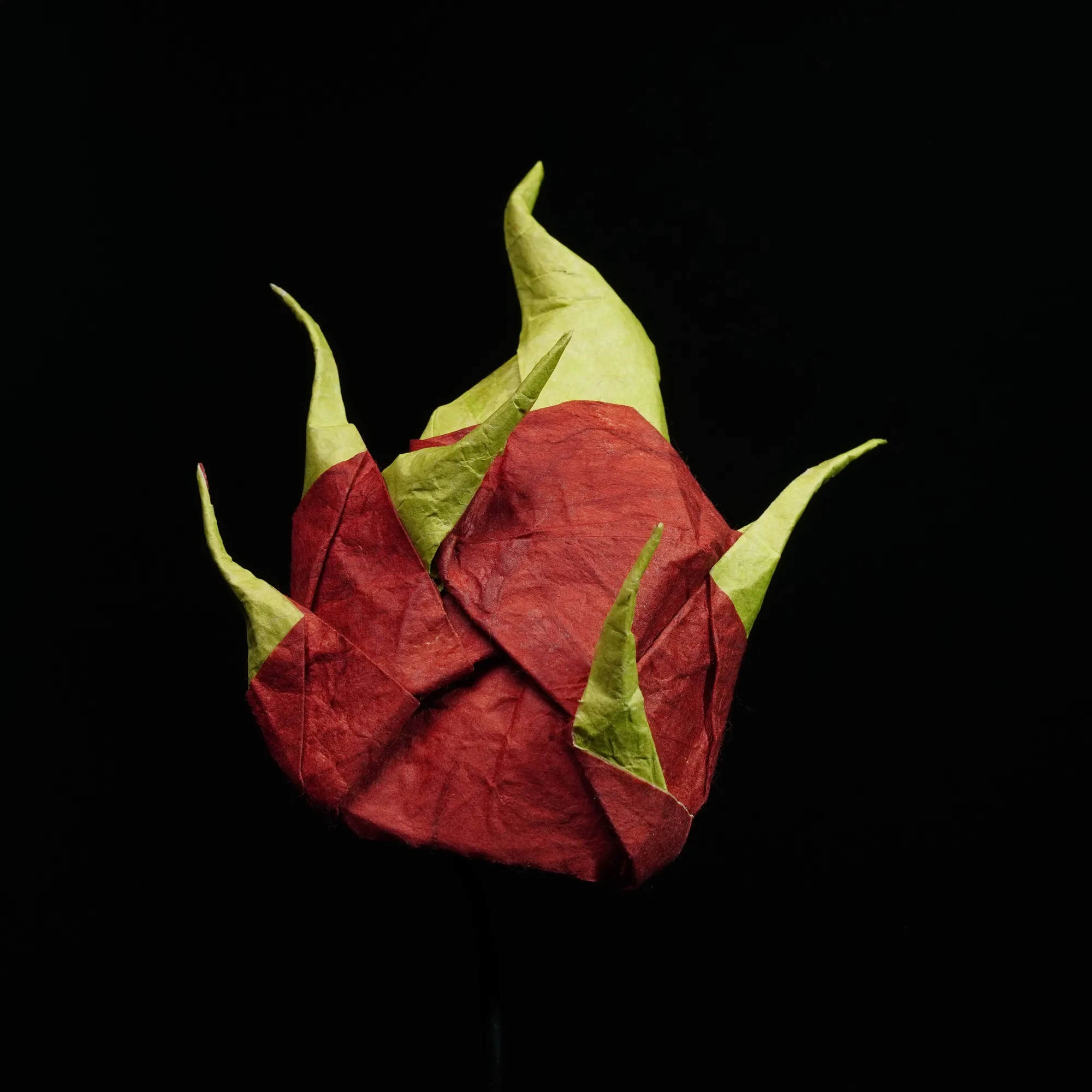 Dragon Fruit — Sam Hesp (IOIO X)