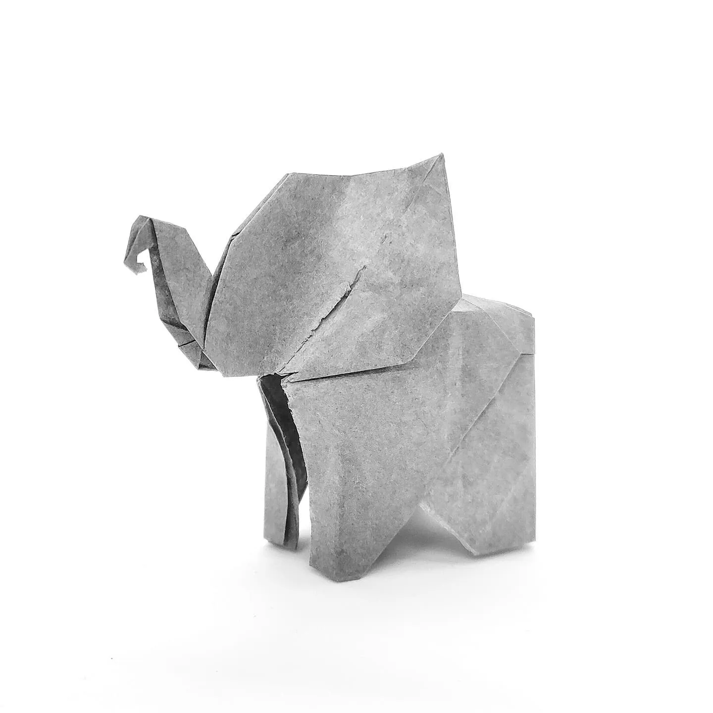 Elephant - Fumiaki Kawahata