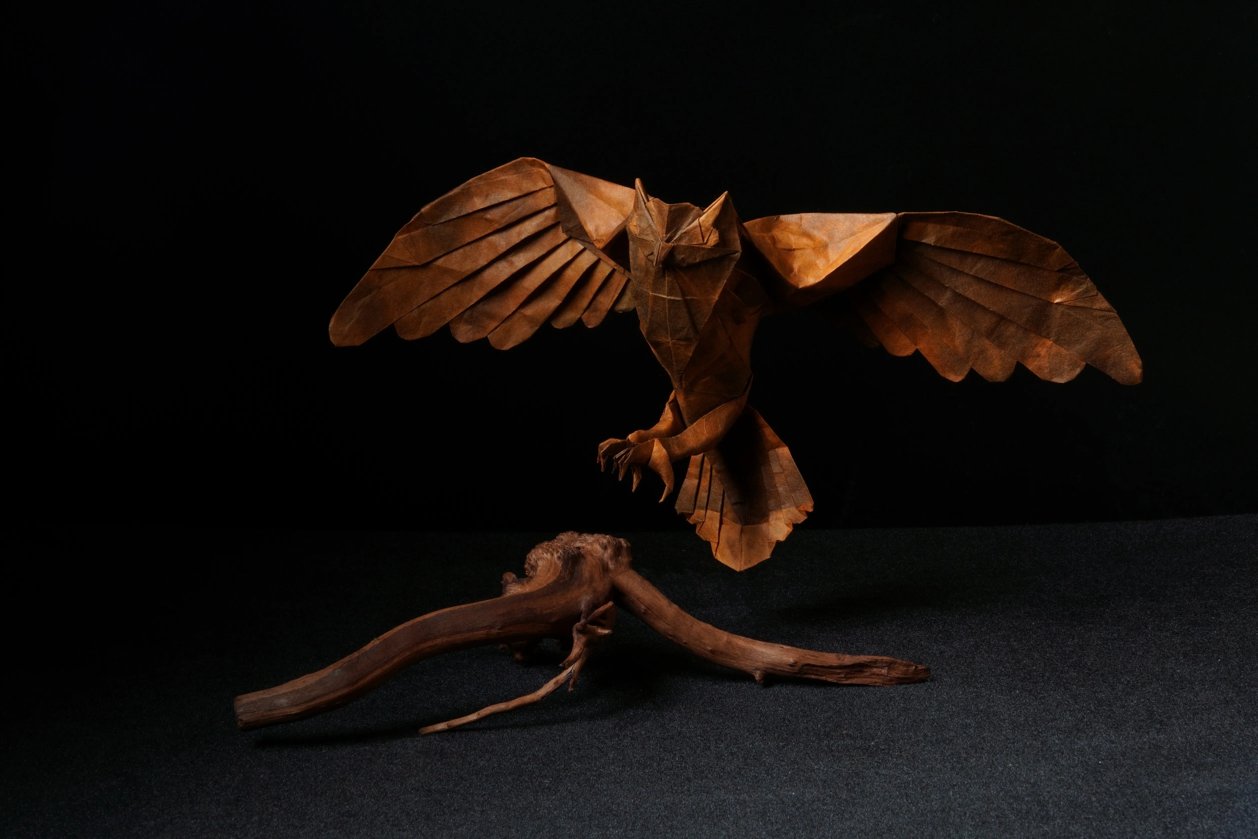 Owl - Fukuroi Kazuki