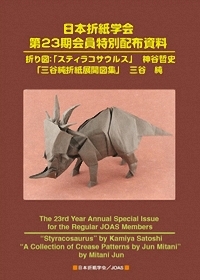 JOAS 2013 Special issue