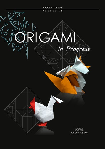 Origami in Progress