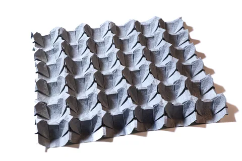 Egg Carton