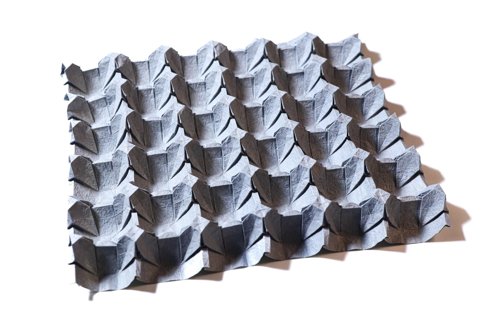 Egg Carton