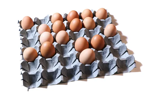 Egg Carton