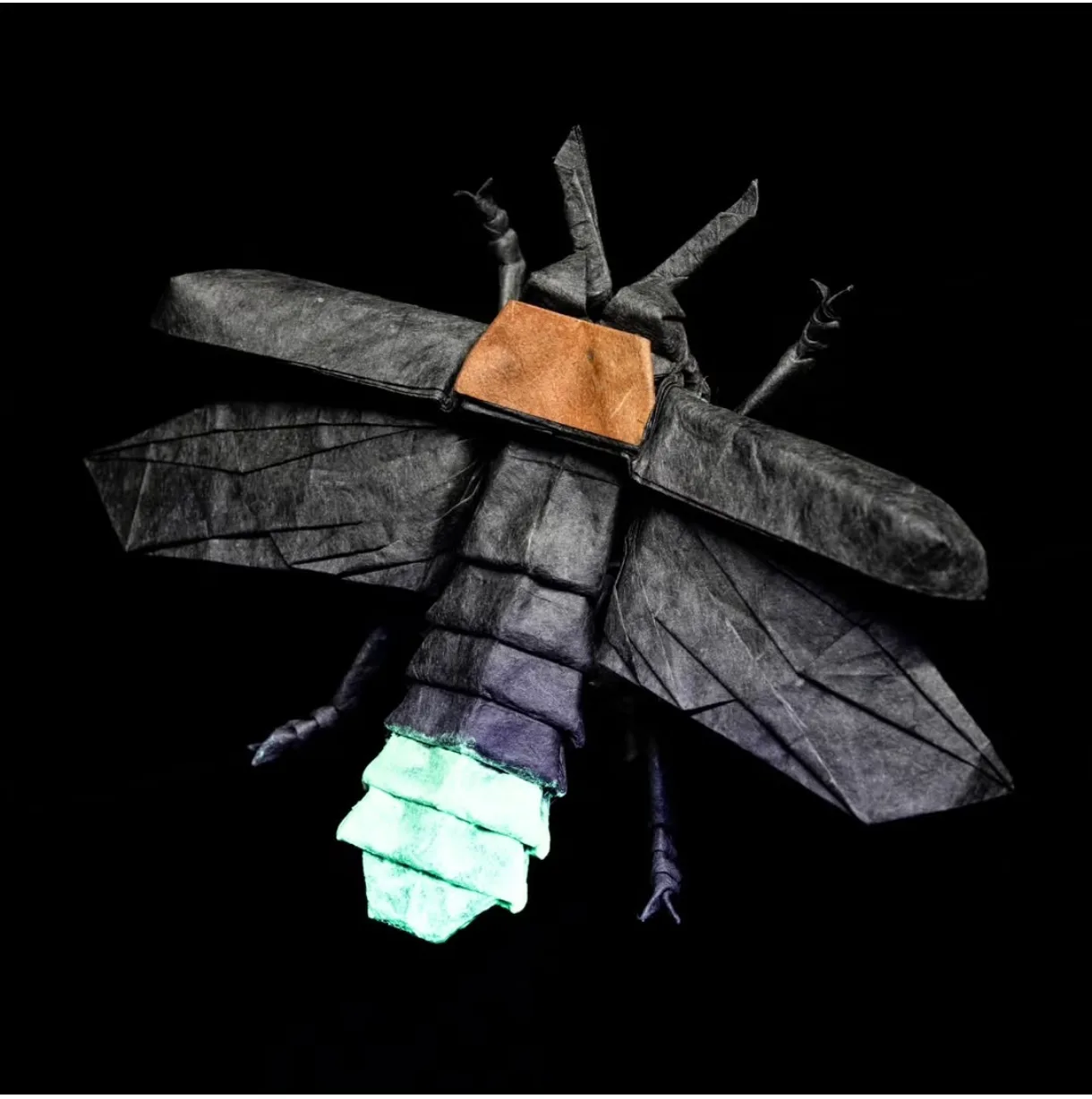 Firefly