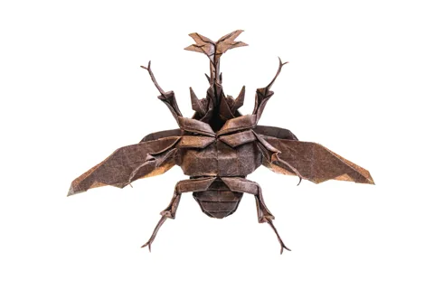Flying Kabutomushi 2025