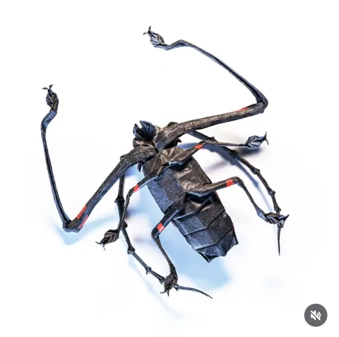 Harlequin Beetle