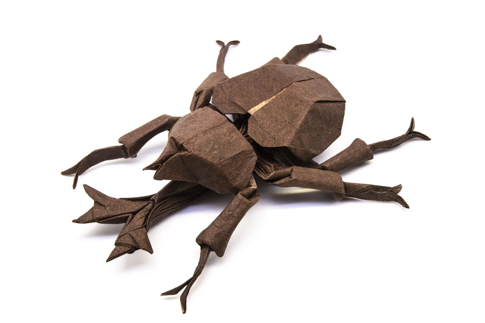 Kabutomushi(28)