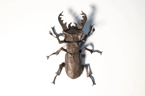 Lucanus Dybowsky Dybowsky␠