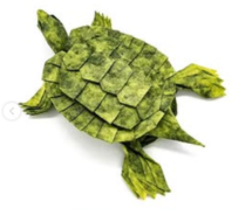 Peninsula Cooter