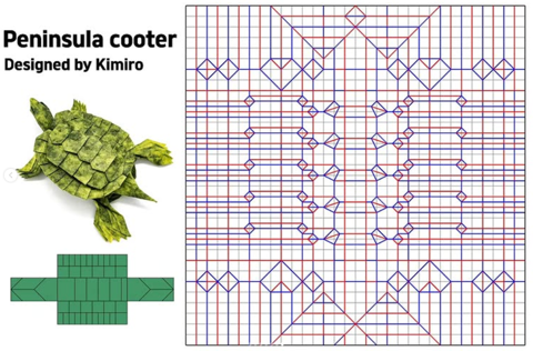 Peninsula Cooter — паттерн