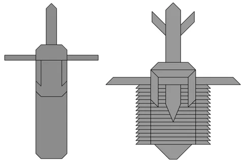 Walliserops Trilobite — паттерн