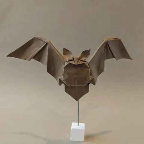 Bat