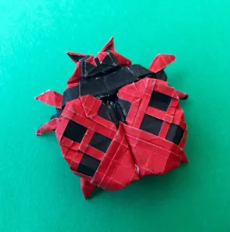 Ladybug
