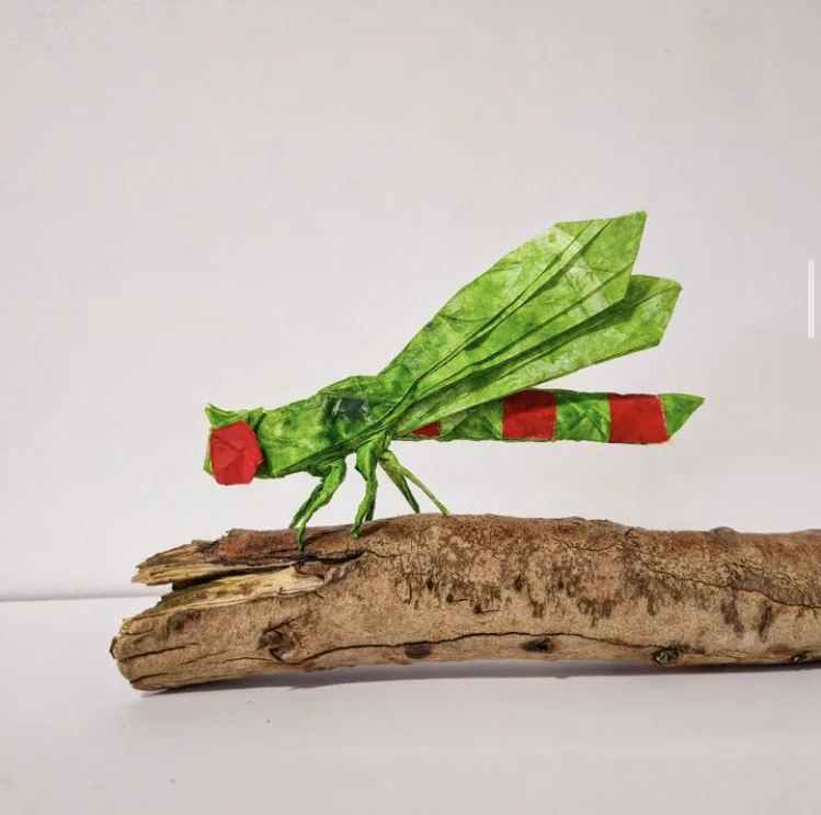Damselfly v1