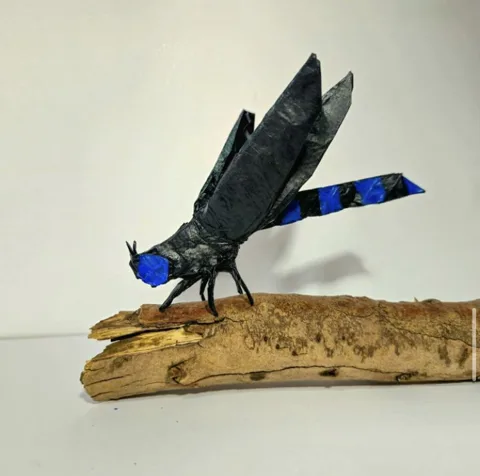 Damselfly v4