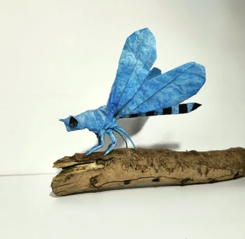 Damselfly v5
