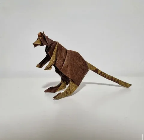 Golden-mantled Tree Kangaroo