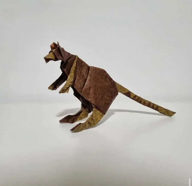 Golden-mantled Tree Kangaroo