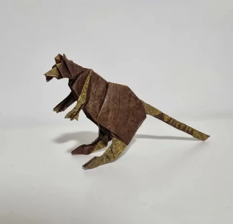 Golden-mantled Tree Kangaroo