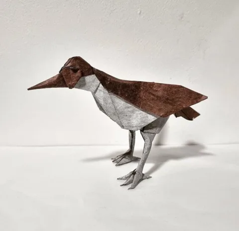 New Caledonian Rail
