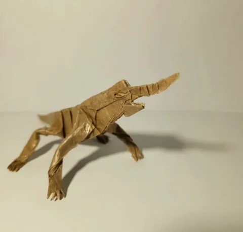 Rough-nosed horned lizard