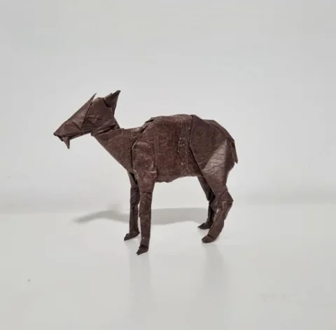 Tufted Deer