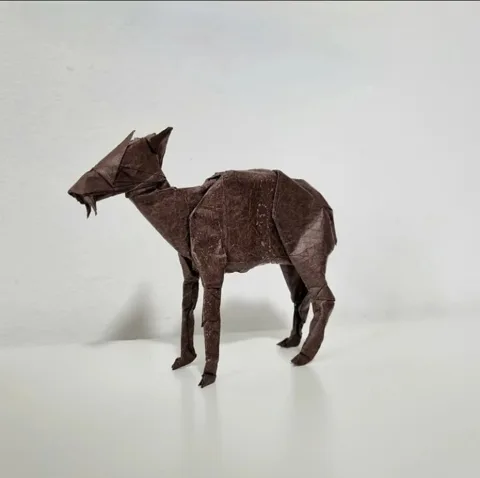 Tufted Deer