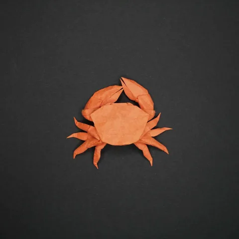 Crab