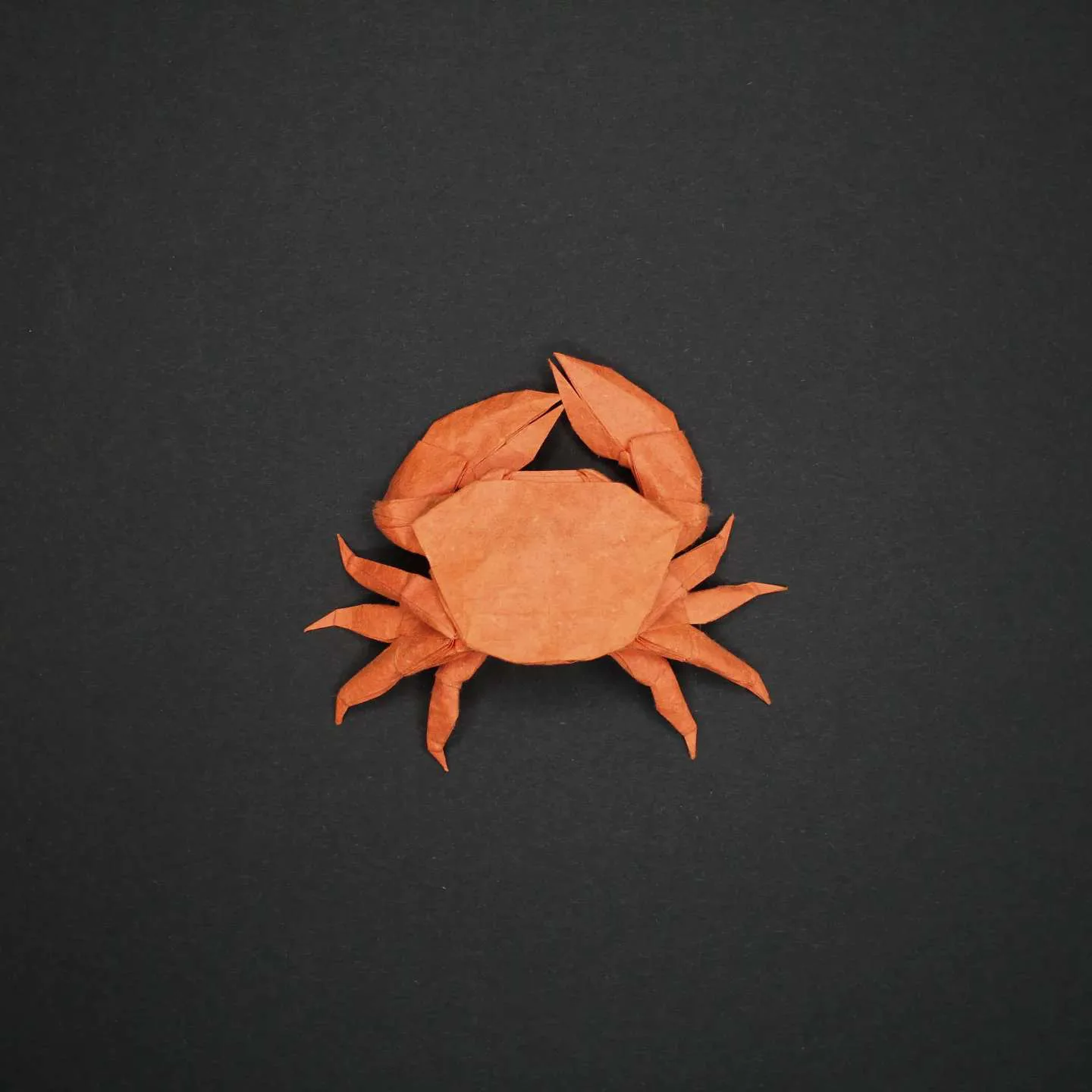 Crab