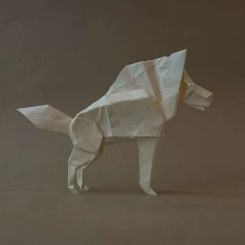 Wolf