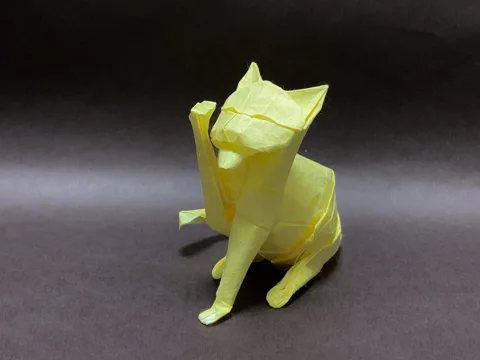 Cat pawing
