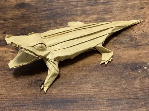 Crocodile (Alligator)