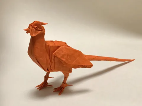 Japanese pheasant (bird)