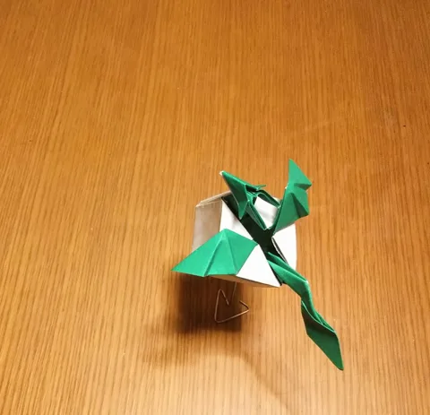 Boxed dragon