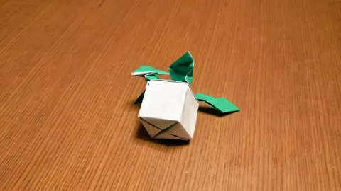 Boxed dragon