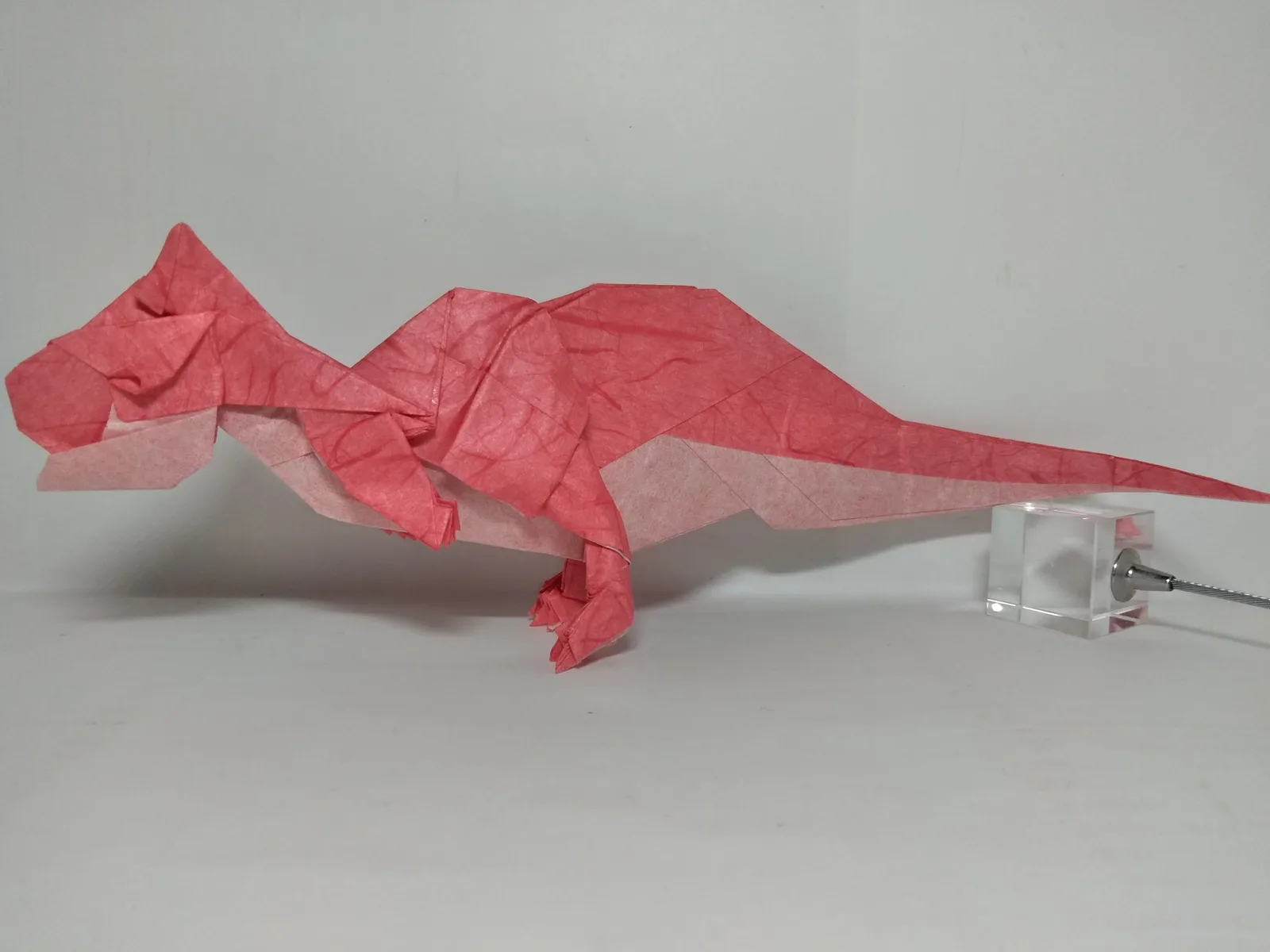 Carnotaurus v2