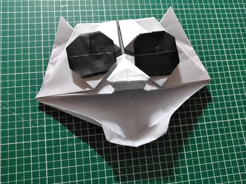 Cat face