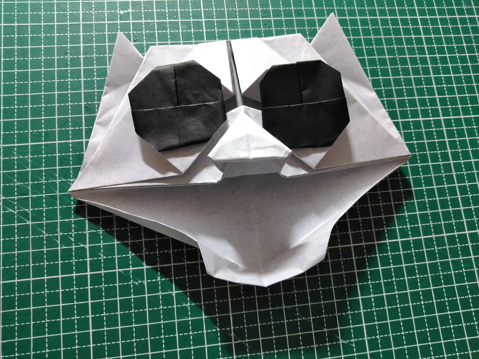 Cat face