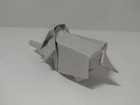 Elephant