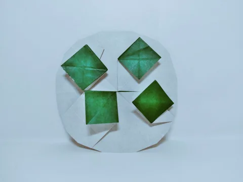 Globe algae (Volvox)