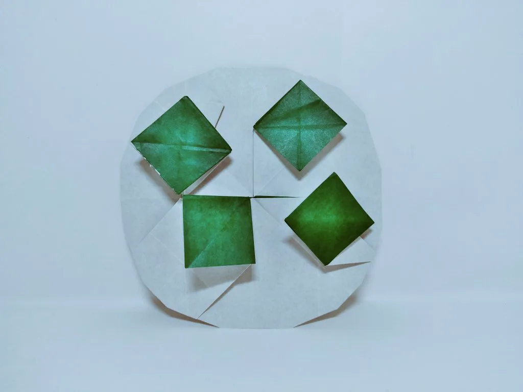 Globe algae (Volvox)