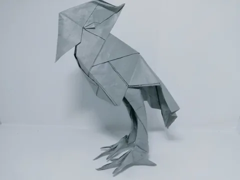 Shoebill