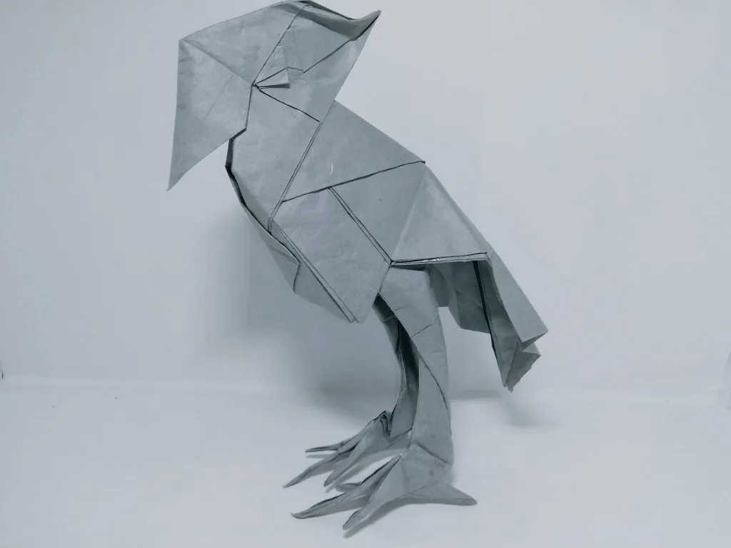 Shoebill