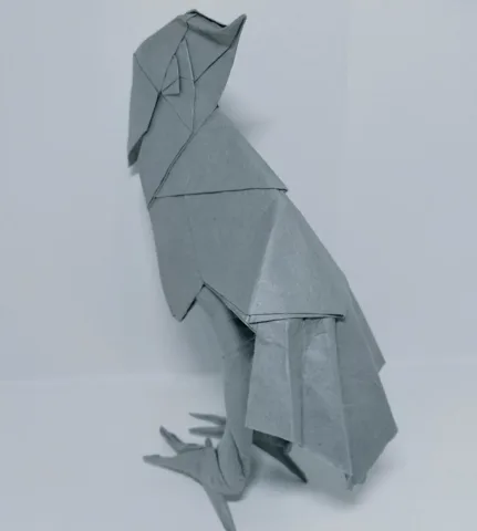 Shoebill