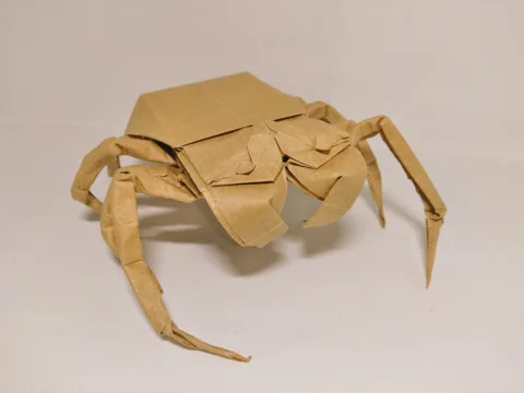 Spider